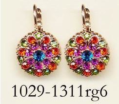 1029-1311-RG6