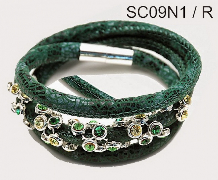 SC09N1b-R_sps9quyc.jpg