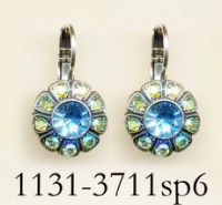 1131-3711-SP6