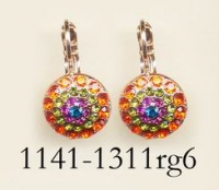 1141-1311-RG6
