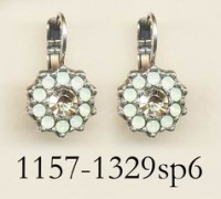 1157-1329-SP6