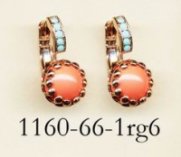 1160-66-1-RG6