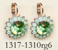 1317-1310-RG6