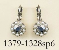 1379-1328-SP6