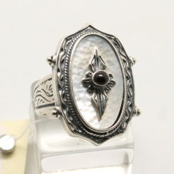 D362PG_hwkbl76f.jpg