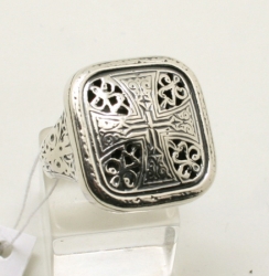 D601_rapltnnp.jpg