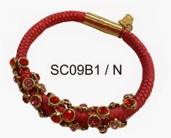 SC09B1-N_1lyc24dk.jpg